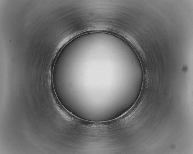 X0000096400842200802071559