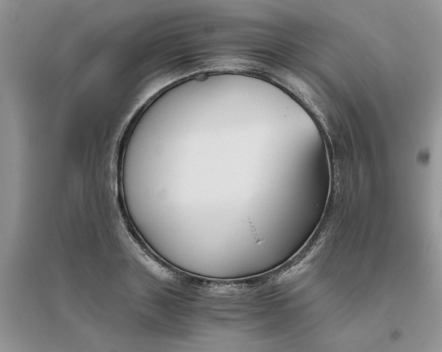 X0000096400843200802071559