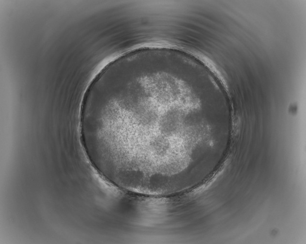 X0000096400845200802071559