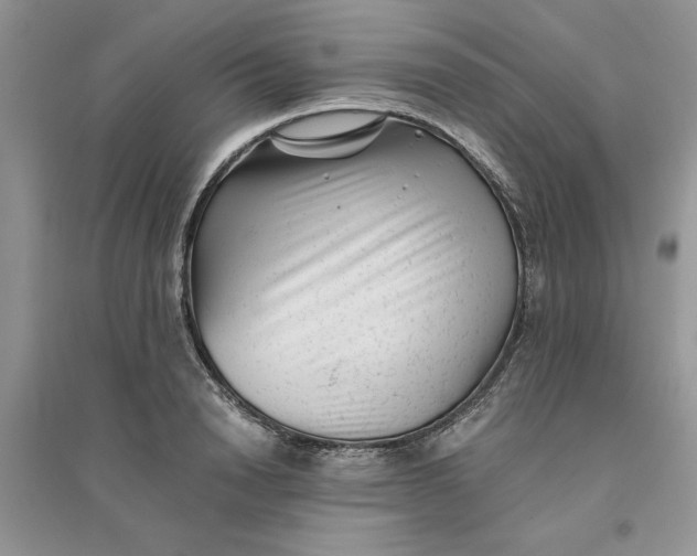 X0000096400846200802071559