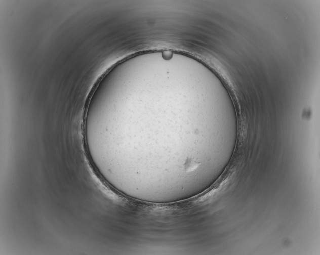 X0000096400847200802071559