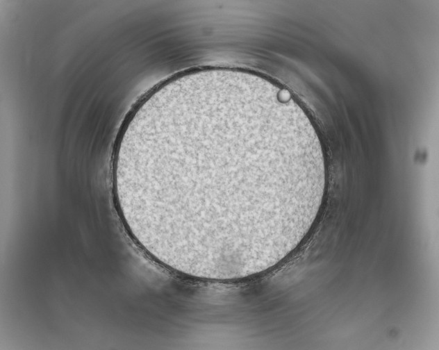 X0000096400848200802071559