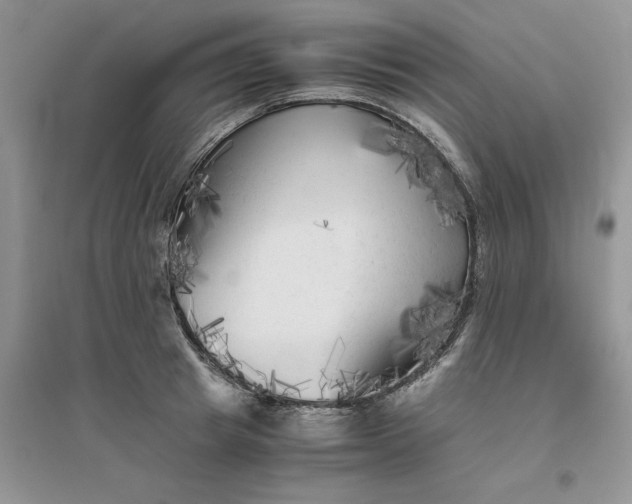 X0000096400849200802071559