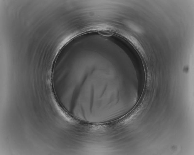 X0000096400850200802071559