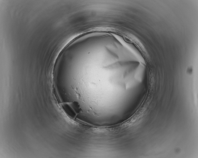 X0000096400852200802071559