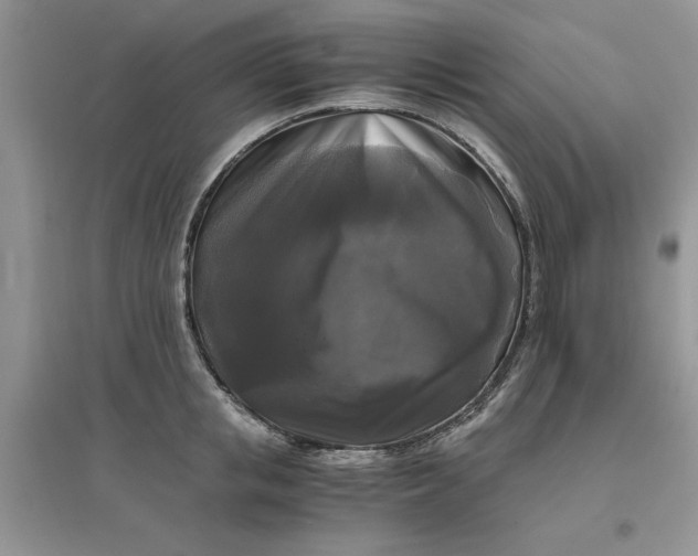 X0000096400853200802071559