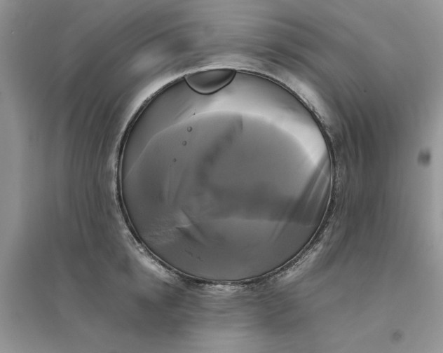 X0000096400854200802071559