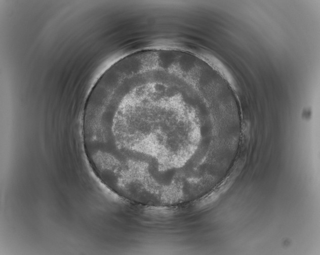 X0000096400855200802071559