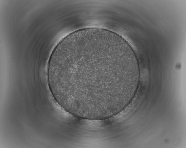 X0000096400856200802071559