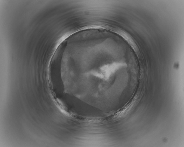 X0000096400858200802071559