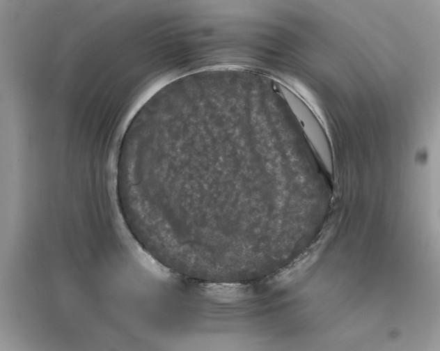 X0000096400859200802071559