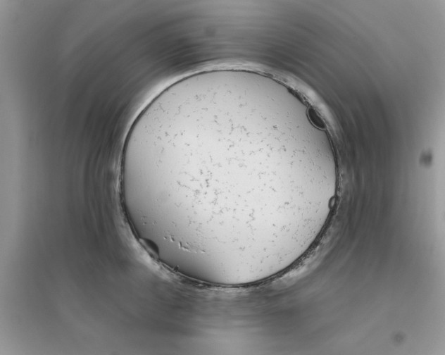 X0000096400860200802071559