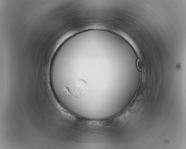 X0000096400861200802071559