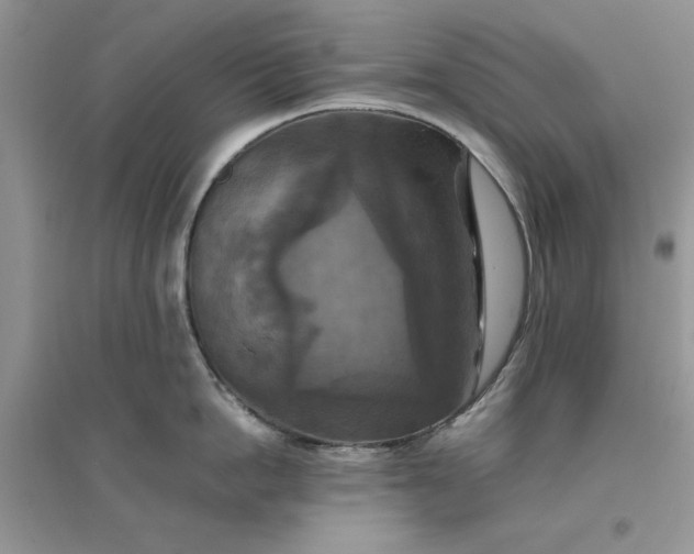 X0000096400862200802071559