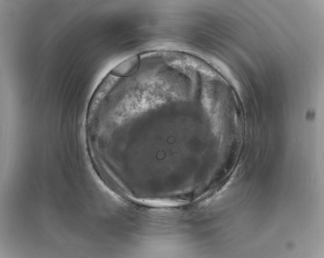 X0000096400863200802071559