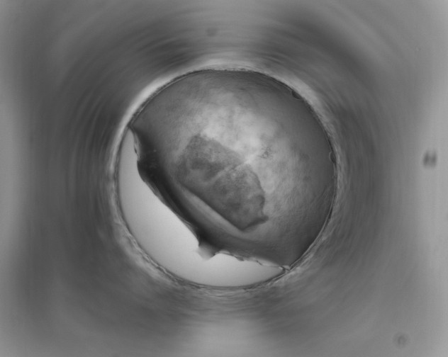 X0000096400864200802071559