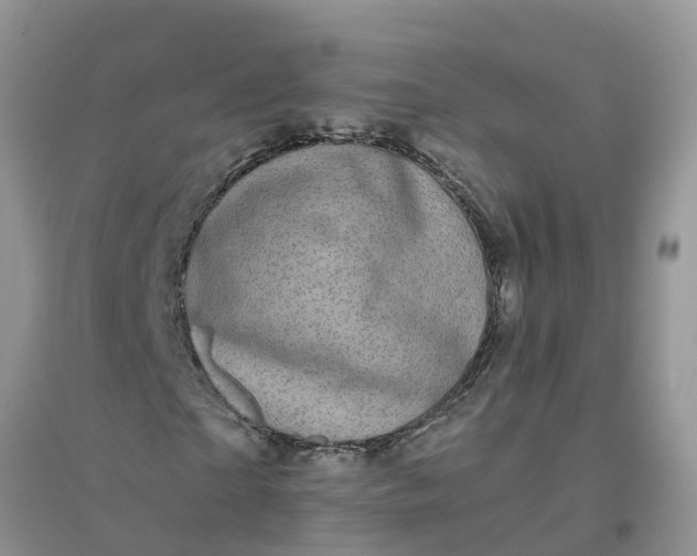 X0000096400865200802071559