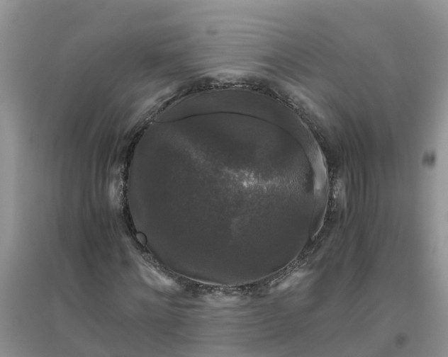 X0000096400868200802071559