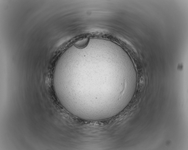 X0000096400869200802071559