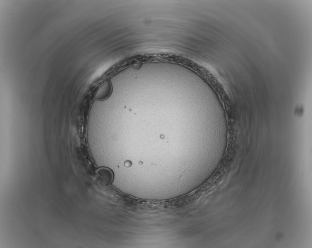 X0000096400871200802071559