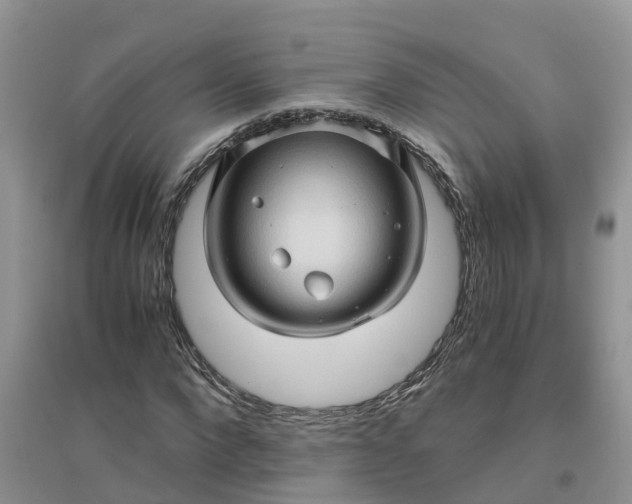 X0000096400872200802071559