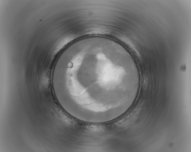 X0000096400874200802071558