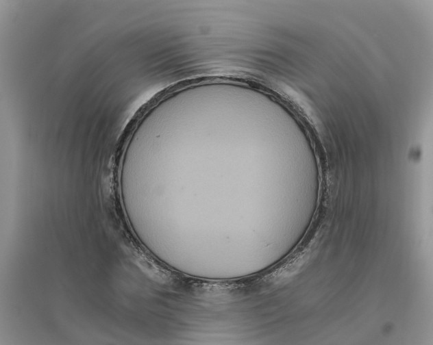 X0000096400875200802071558