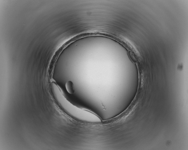 X0000096400876200802071558