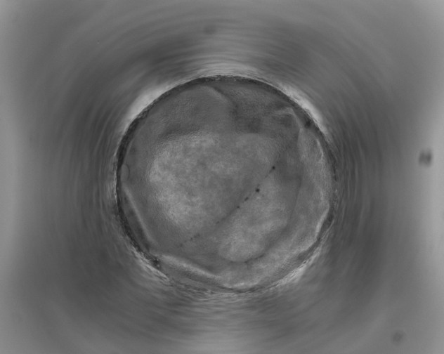 X0000096400877200802071558