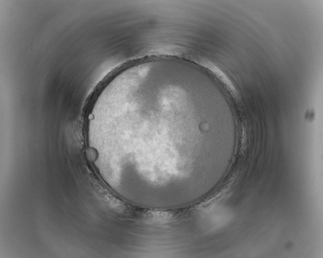 X0000096400878200802071558