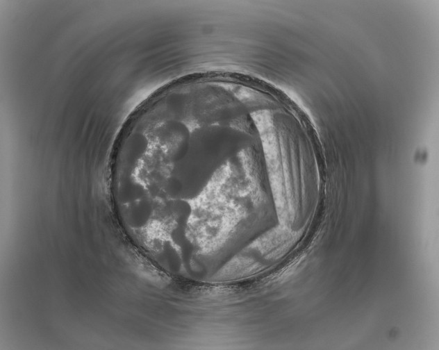 X0000096400879200802071558