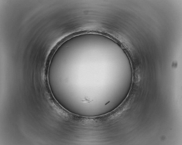 X0000096400880200802071558