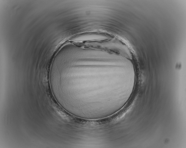 X0000096400881200802071558