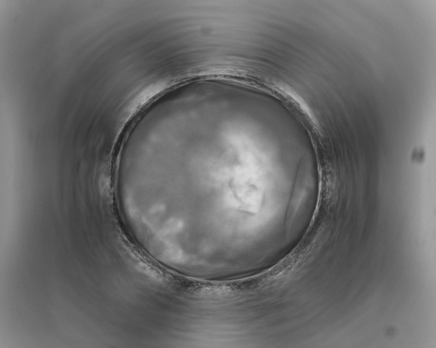 X0000096400882200802071558