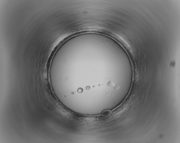 X0000096400883200802071558