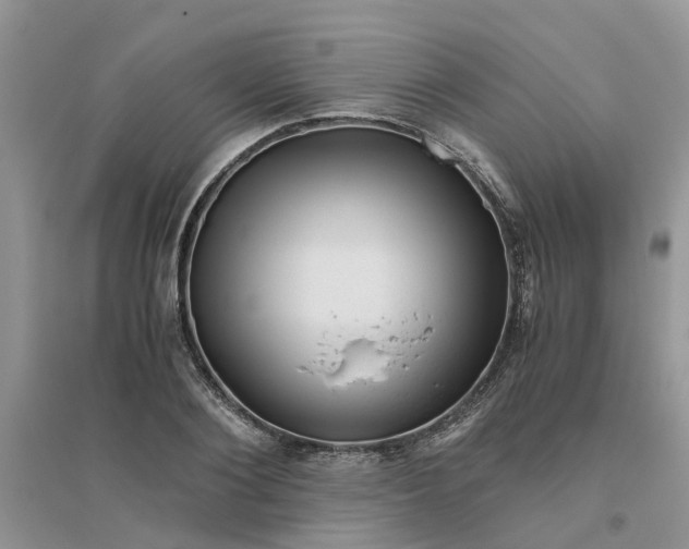 X0000096400884200802071558