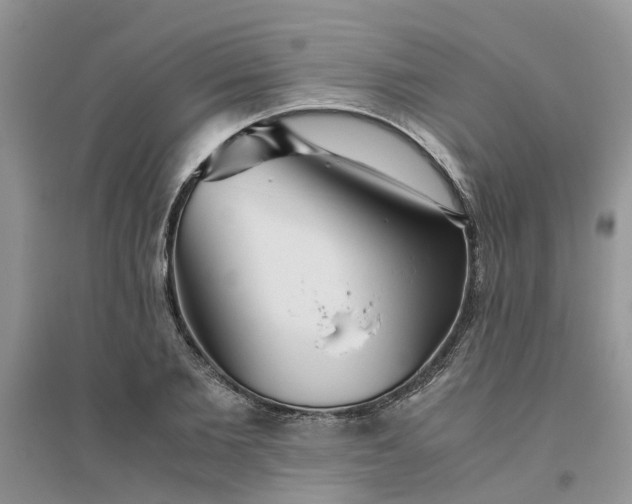 X0000096400885200802071558