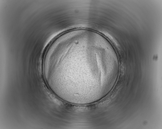 X0000096400886200802071558