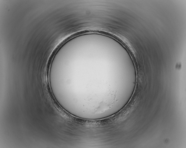 X0000096400887200802071558