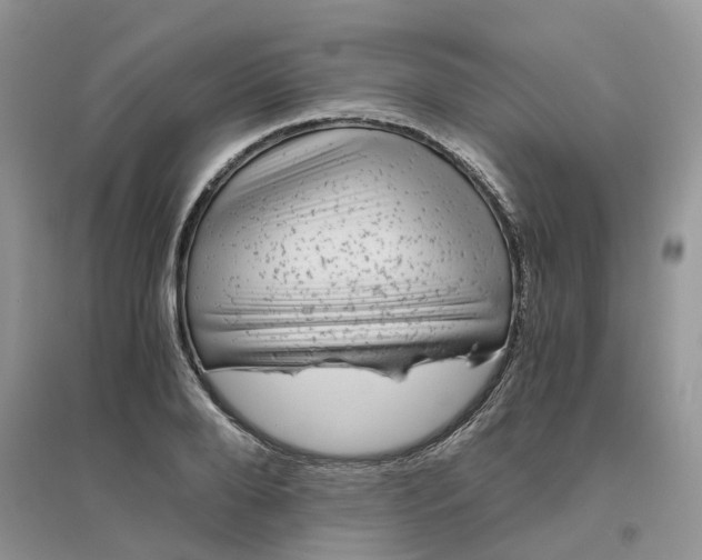 X0000096400888200802071558