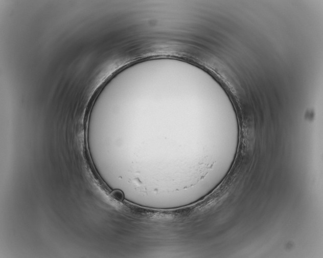 X0000096400890200802071558