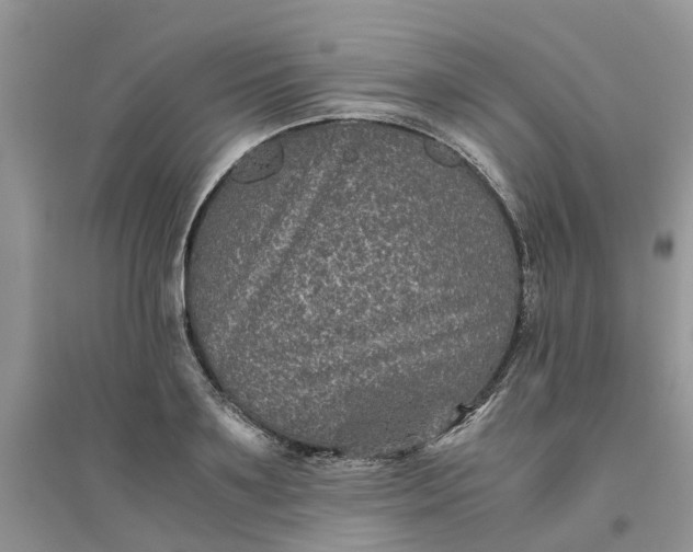 X0000096400891200802071558