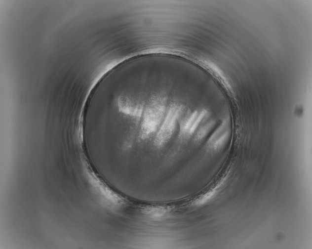 X0000096400892200802071558