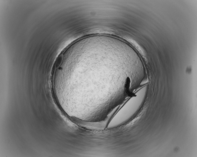 X0000096400893200802071558