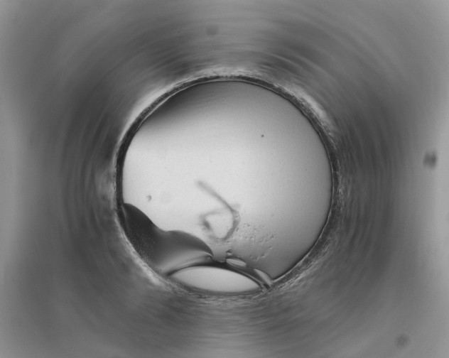 X0000096400894200802071558