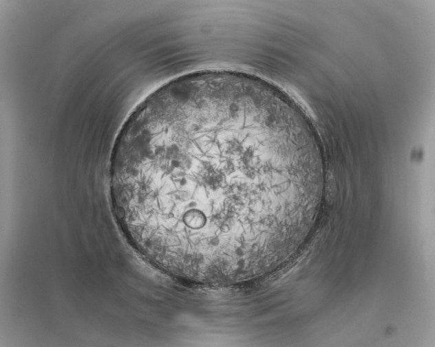 X0000096400895200802071558