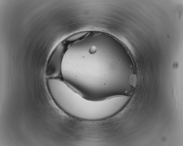 X0000096400896200802071558