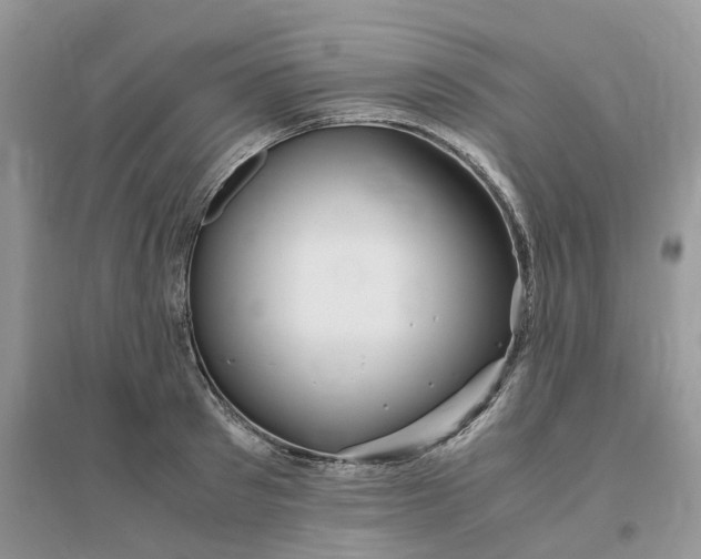 X0000096400897200802071558