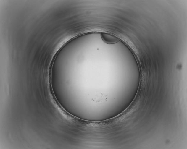 X0000096400898200802071558