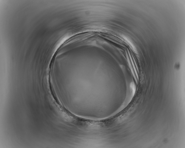 X0000096400899200802071558